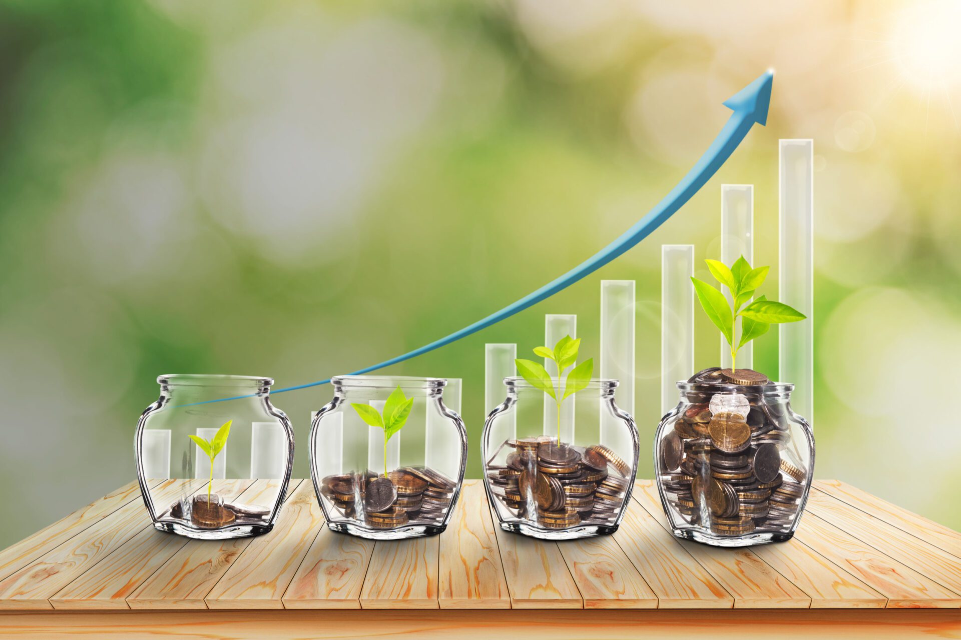Growing Plants in Savings Coins - Investment and Interest Ideas.
